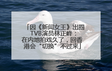 因《新闻女王》出圈 TVB演员林正峰：在内地拍戏久了，回香港会“切换”不过来