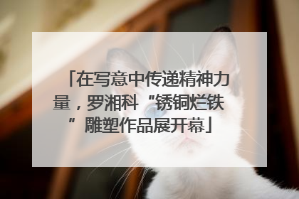 在写意中传递精神力量，罗湘科“锈铜烂铁”雕塑作品展开幕