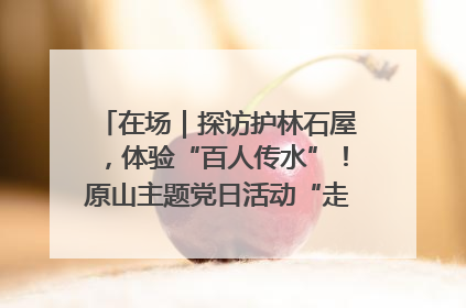 在场｜探访护林石屋，体验“百人传水”！原山主题党日活动“走新”更“走心”