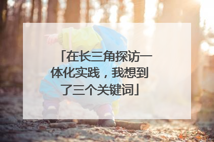 在长三角探访一体化实践，我想到了三个关键词