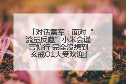 对话雷军：面对“流量反噬”小米会谨言慎行 完全没想到玄戒O1大受欢迎