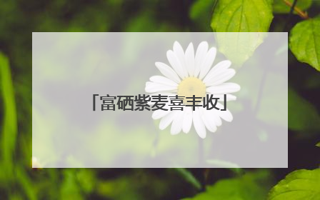 富硒紫麦喜丰收
