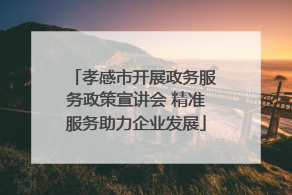 孝感市开展政务服务政策宣讲会 精准服务助力企业发展