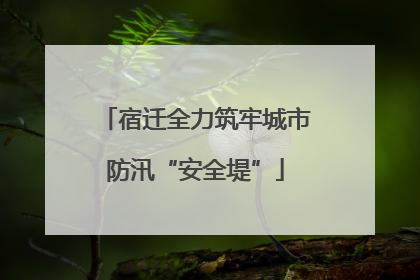 宿迁全力筑牢城市防汛“安全堤”