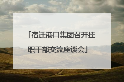 宿迁港口集团召开挂职干部交流座谈会