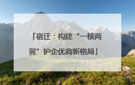 宿迁：构建“一核两翼”护企优商新格局