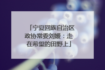 宁夏回族自治区政协常委刘媛：走在希望的田野上