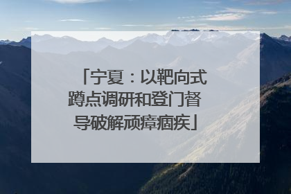 宁夏：以靶向式蹲点调研和登门督导破解顽瘴痼疾