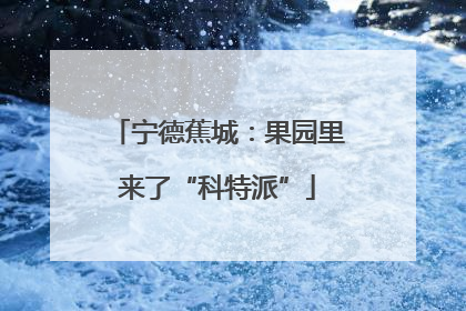 宁德蕉城：果园里来了“科特派”