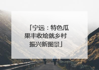 宁远：特色瓜果丰收绘就乡村振兴新图景