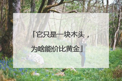 它只是一块木头，为啥能价比黄金