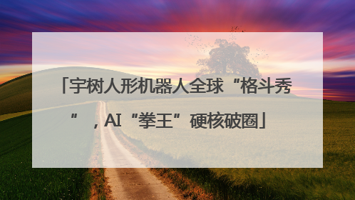 宇树人形机器人全球“格斗秀”，AI“拳王”硬核破圈