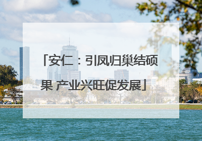 安仁：引凤归巢结硕果 产业兴旺促发展