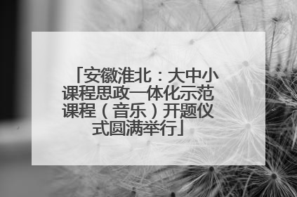 安徽淮北：大中小课程思政一体化示范课程（音乐）开题仪式圆满举行