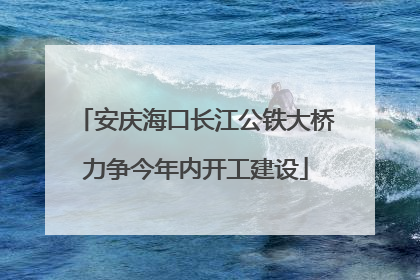 安庆海口长江公铁大桥力争今年内开工建设