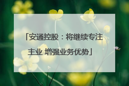 安通控股：将继续专注主业 增强业务优势