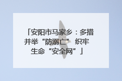 安阳市马家乡：多措并举“防溺亡” 织牢生命“安全网”