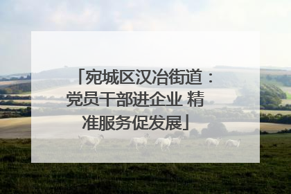 宛城区汉冶街道：党员干部进企业 精准服务促发展