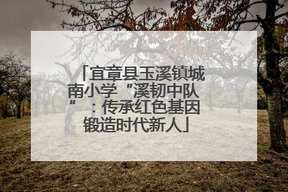 宜章县玉溪镇城南小学“溪韧中队”：传承红色基因 锻造时代新人