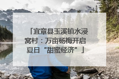 宜章县玉溪镇水浸窝村：万亩杨梅开启夏日“甜蜜经济”