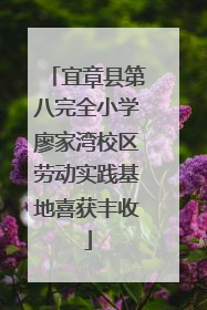 宜章县第八完全小学廖家湾校区劳动实践基地喜获丰收