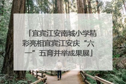 宜宾江安南城小学精彩亮相宜宾江安庆“六一”五育并举成果展