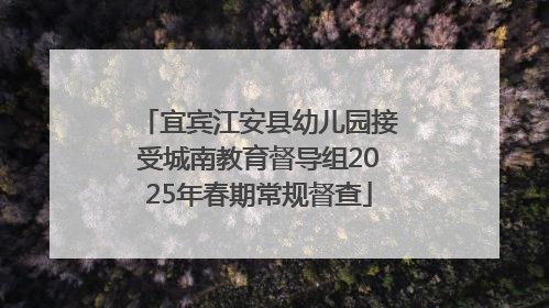 宜宾江安县幼儿园接受城南教育督导组2025年春期常规督查