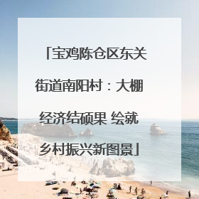 宝鸡陈仓区东关街道南阳村：大棚经济结硕果 绘就乡村振兴新图景