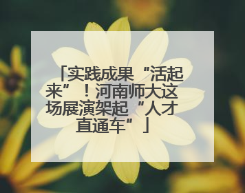 实践成果“活起来”！河南师大这场展演架起“人才直通车”