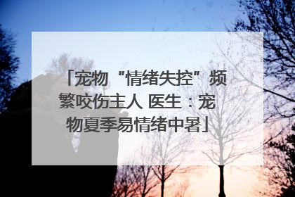 宠物“情绪失控”频繁咬伤主人 医生：宠物夏季易情绪中暑