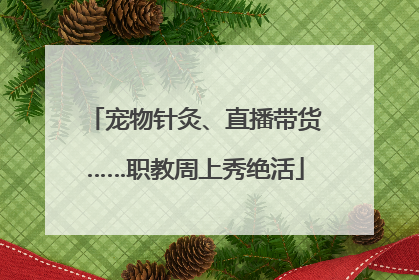 宠物针灸、直播带货……职教周上秀绝活