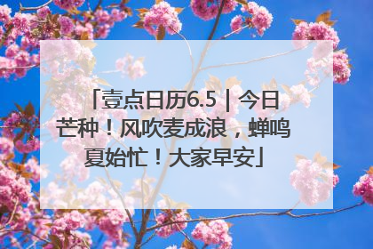 壹点日历6.5｜今日芒种！风吹麦成浪，蝉鸣夏始忙！大家早安