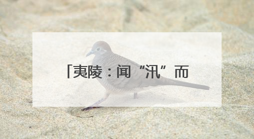 夷陵：闻“汛”而动 全力防范应对