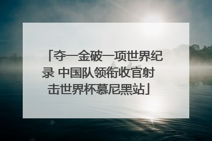 夺一金破一项世界纪录 中国队领衔收官射击世界杯慕尼黑站