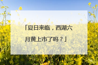 夏日来临，西湖六月黄上市了吗？