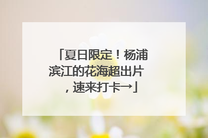 夏日限定！杨浦滨江的花海超出片，速来打卡→