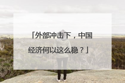 外部冲击下，中国经济何以这么稳？