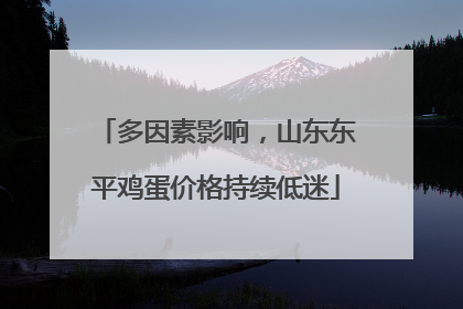 多因素影响，山东东平鸡蛋价格持续低迷