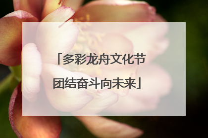 多彩龙舟文化节 团结奋斗向未来