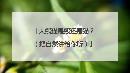 大熊猫是熊还是猫？（把自然讲给你听）