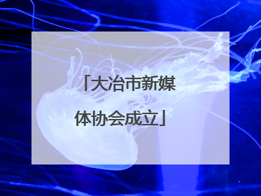 大冶市新媒体协会成立