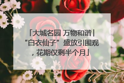 大城名园 万物和谐│“白衣仙子”盛放引围观，花期仅剩半个月