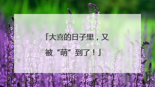 大喜的日子里，又被“萌”到了！