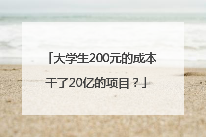 大学生200元的成本干了20亿的项目？