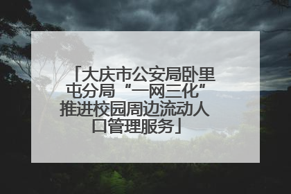 大庆市公安局卧里屯分局“一网三化”推进校园周边流动人口管理服务