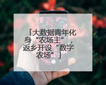 大数据青年化身“农场主”，返乡开设“数字农场”