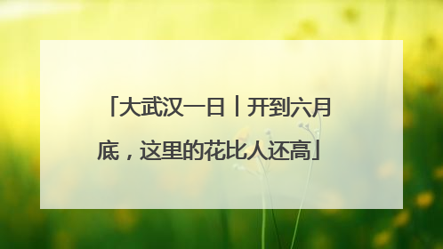 大武汉一日︱开到六月底，这里的花比人还高