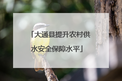 大通县提升农村供水安全保障水平