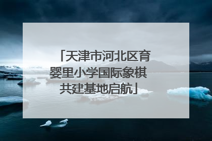 天津市河北区育婴里小学国际象棋共建基地启航