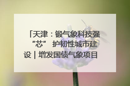 天津：锻气象科技强“芯” 护韧性城市建设｜增发国债气象项目落地见效系列报道
